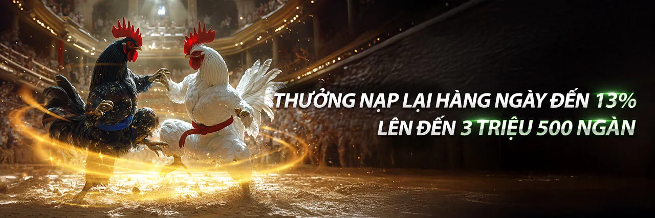 Đá gà trực tuyến 95win chính thức